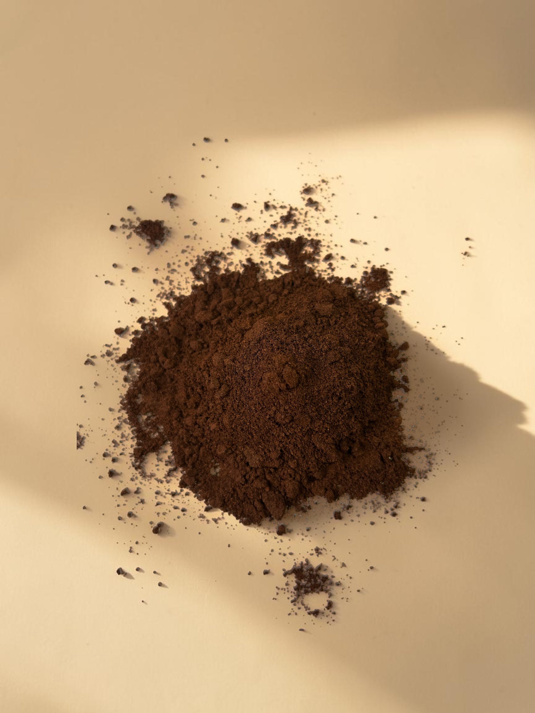 Bourbon Vanilla Powder – Ground from Whole Pods