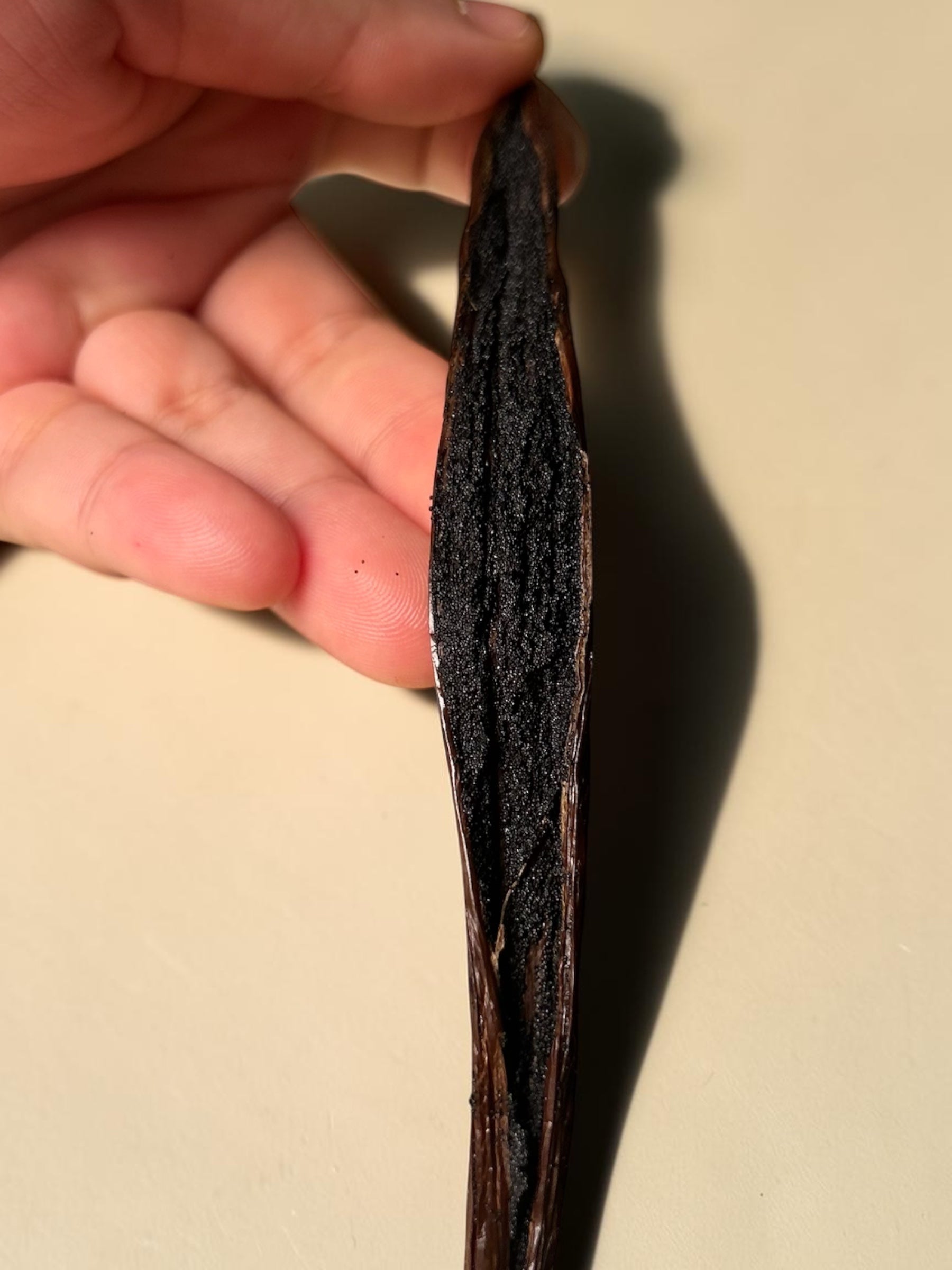 Bourbon Vanilla Pods – from Madagascar