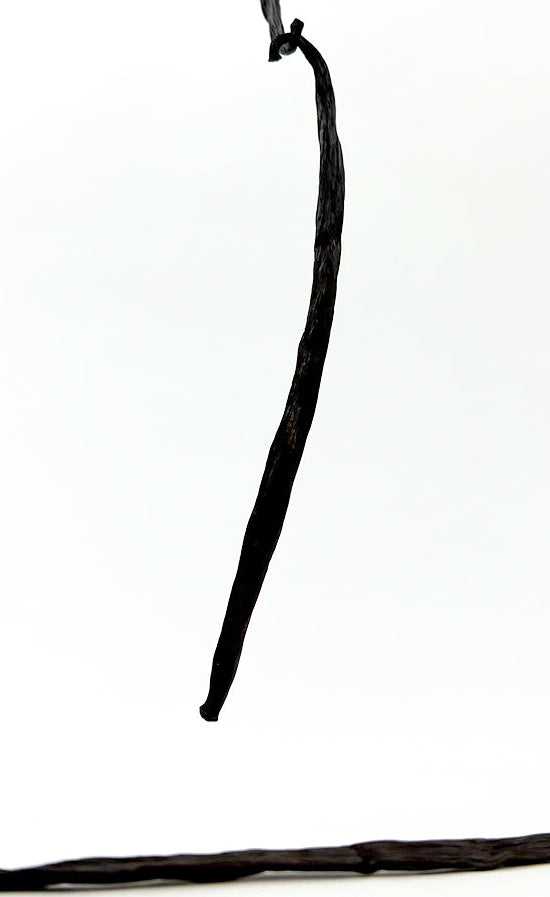 Vanilla bean pod on a white background